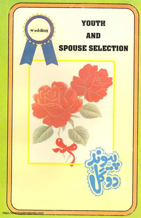 Cover of Youth and Spouse Selection