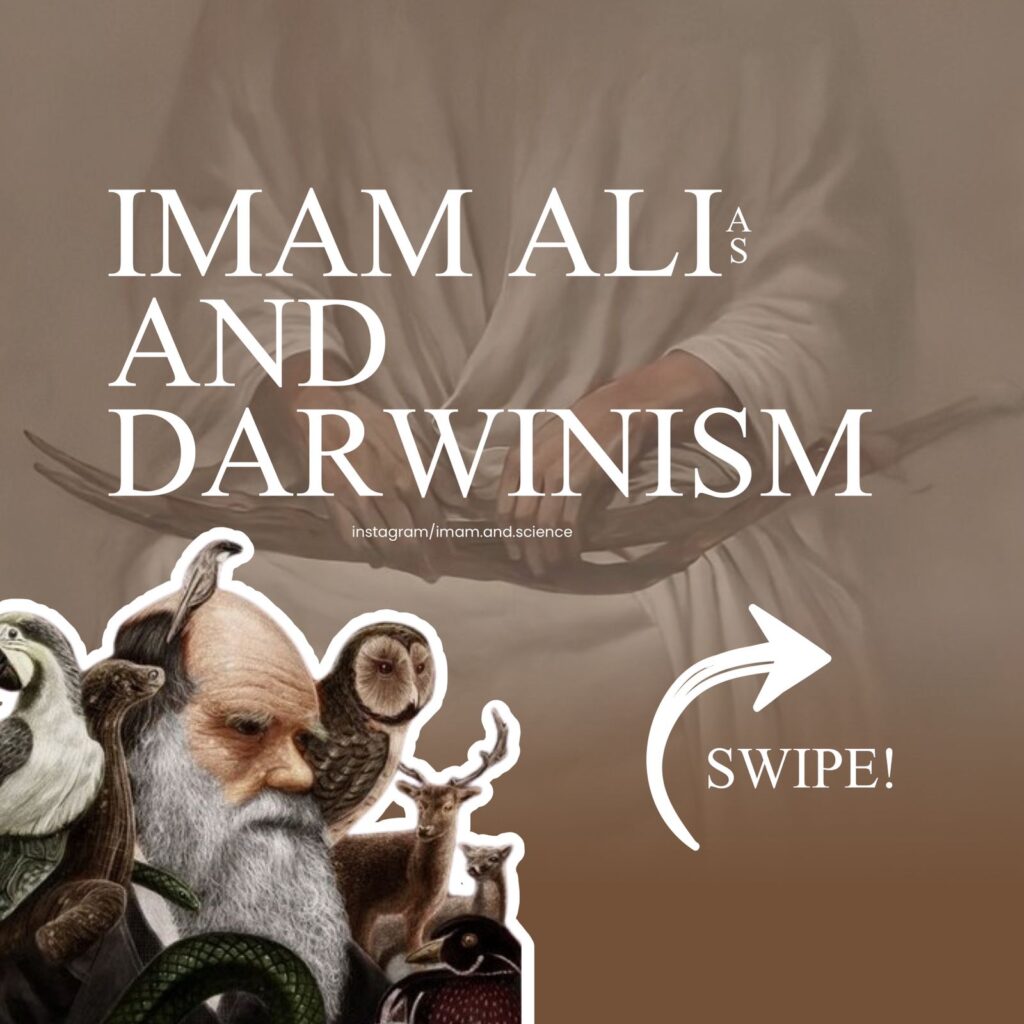 Imam Ali and the concept Darwinism: