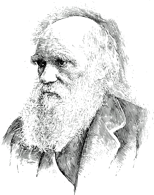 Picture of Darwin as a young man and as an older individual. Darwin was a Christian and had faith in God. If he had chosen to use the term 'God' rather than 'nature,' his theory might have been seen as theology, the study of religion. His efforts were scientific, involving the collection of data. Instead of using the term "God," he opted for "nature."