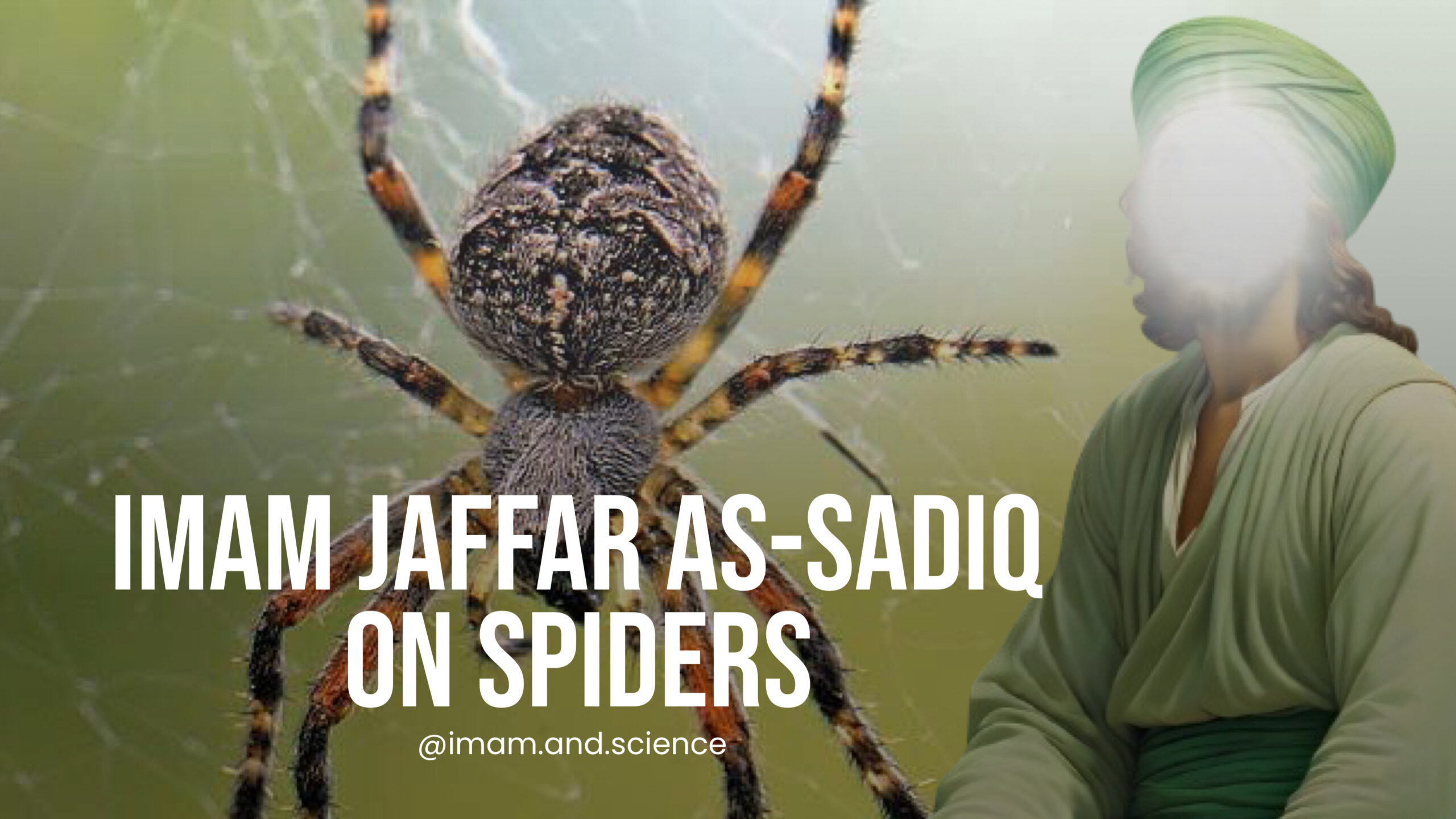 Imam Jaffar As-Sadiq On Spiders | Animal Kingdom
