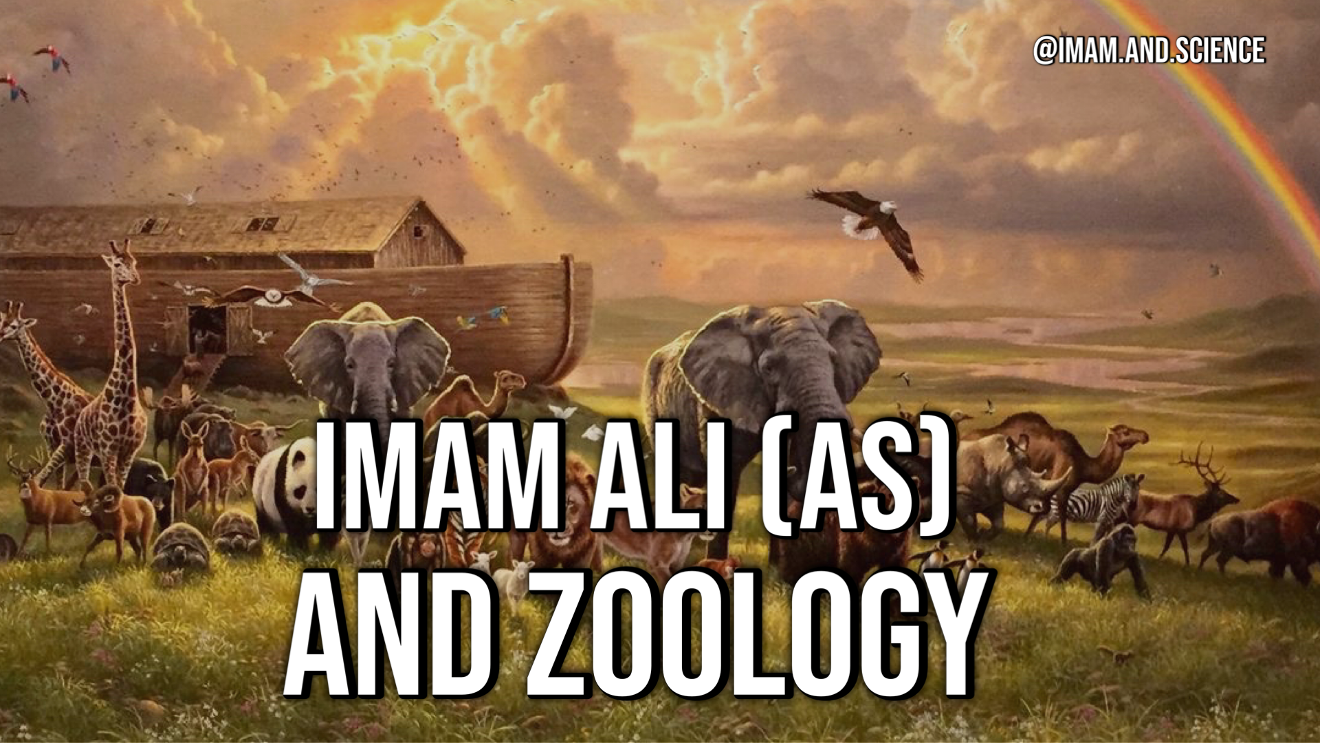 Imam Ali and Zoology